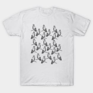 Pigeons T-Shirt